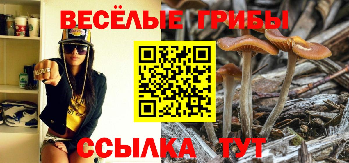 Псилоцибиновые грибы GOLDEN TEACHER Янаул