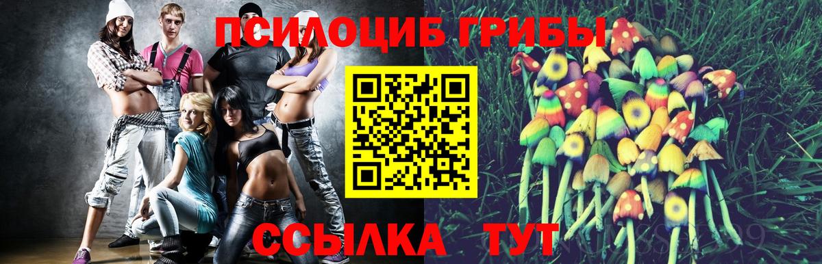 купить наркоту  Галлюциногенные грибы Cubensis  Вход с VPN  Псилоцибиновые грибы MAGIC MUSHROOMS  Янаул 